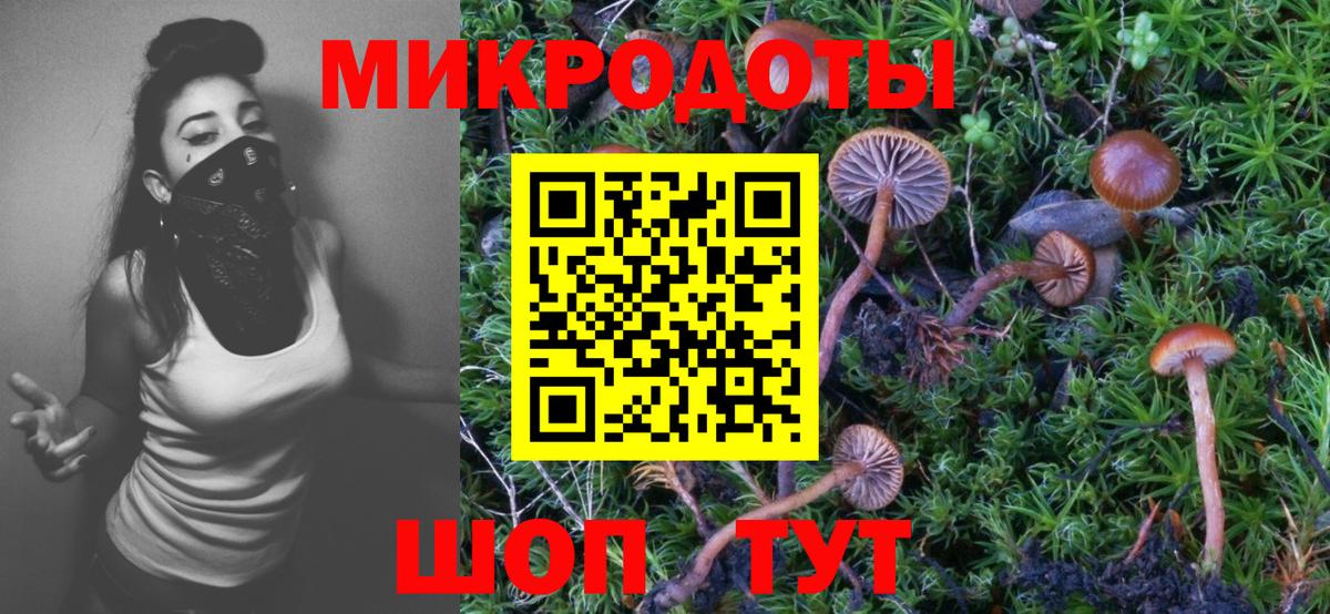 Галлюциногенные грибы Psilocybine cubensis Кисловодск