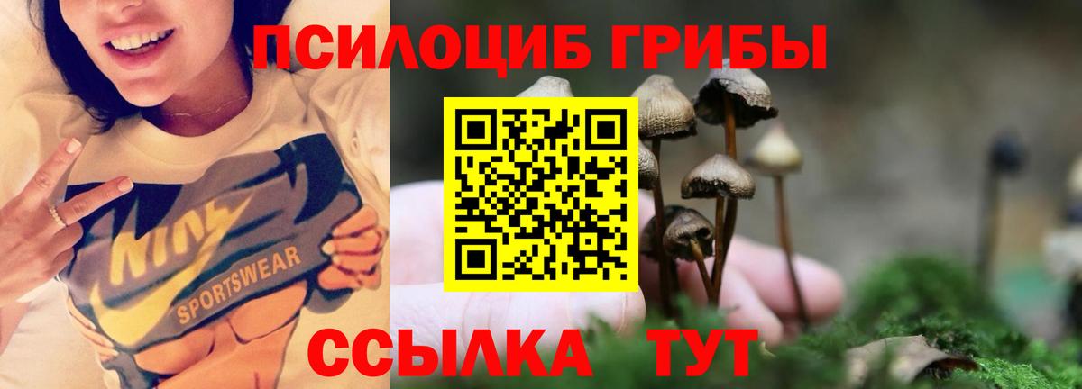 Псилоцибиновые грибы Cubensis  Вход с VPN  Кисловодск 